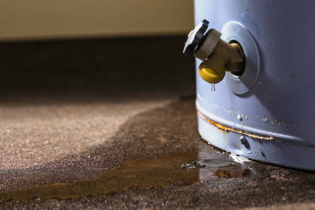 Best Flooded house restoration  in Lisbon, IA