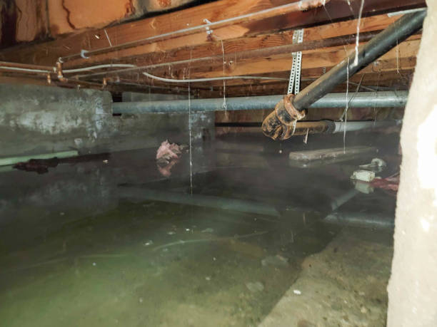 Professional Water damage restoration in IA