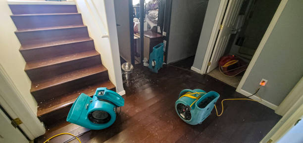 Best Mold removal after water damage  in Lisbon, IA