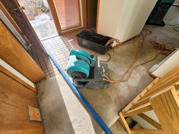 Best Local water damage restoration  in Lisbon, IA
