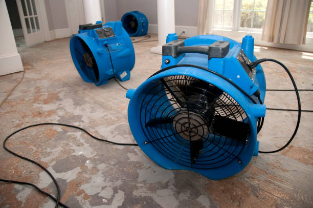 Best Water damage restoration services  in Lisbon, IA