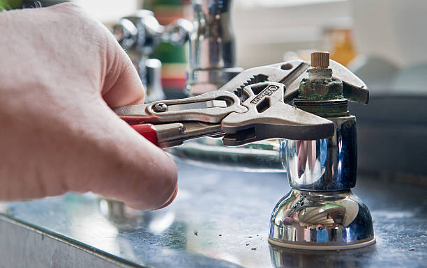 Best Flood restoration services  in Lisbon, IA
